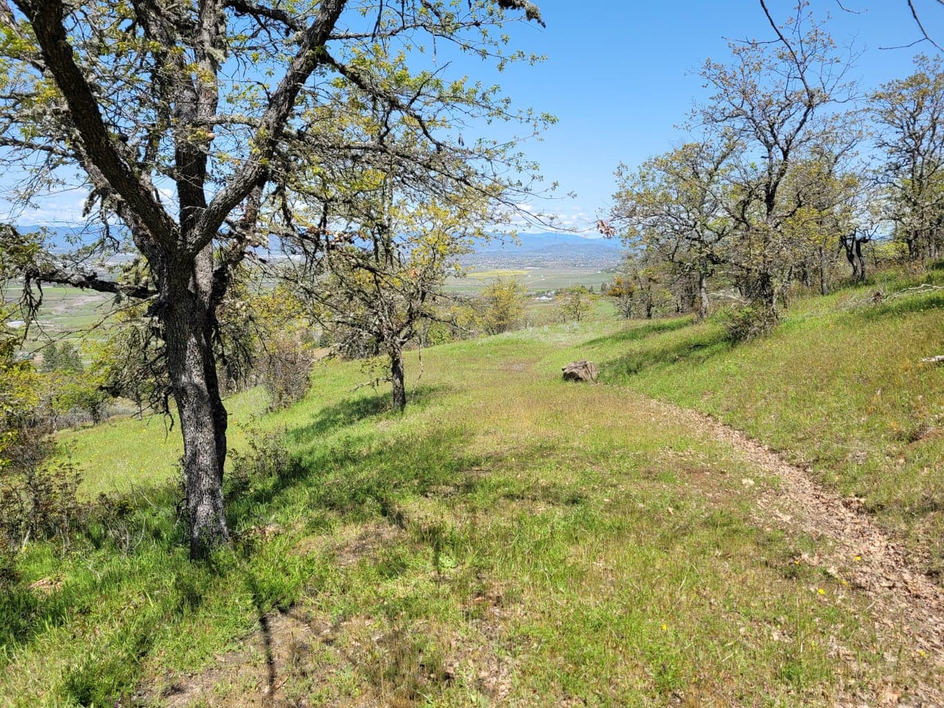 Photo of 3635 High Prairie 5 of 17