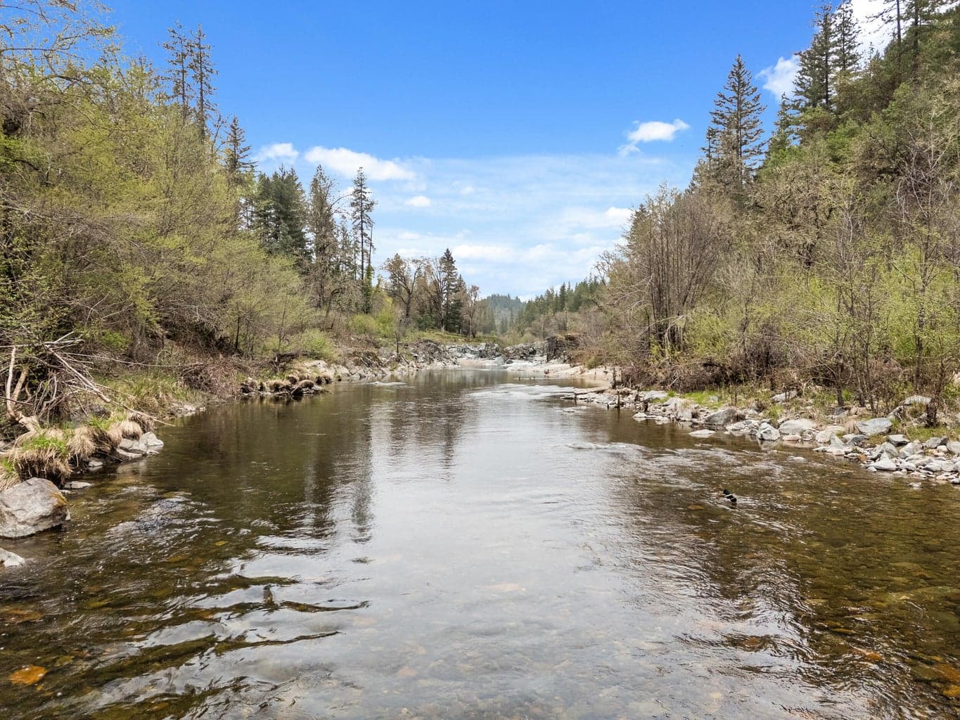 3134 Evans Creek, Rogue River, 97537