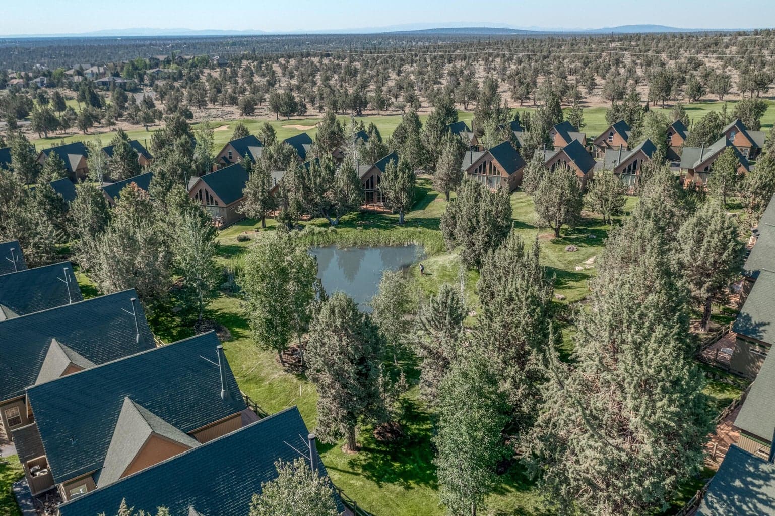 Photo of 1612 Prairie Falcon Drive 30 of 31