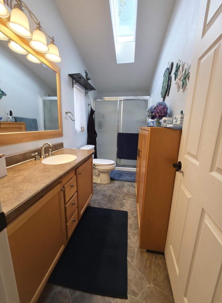 Primary bathroom with skylight and walk-in shower