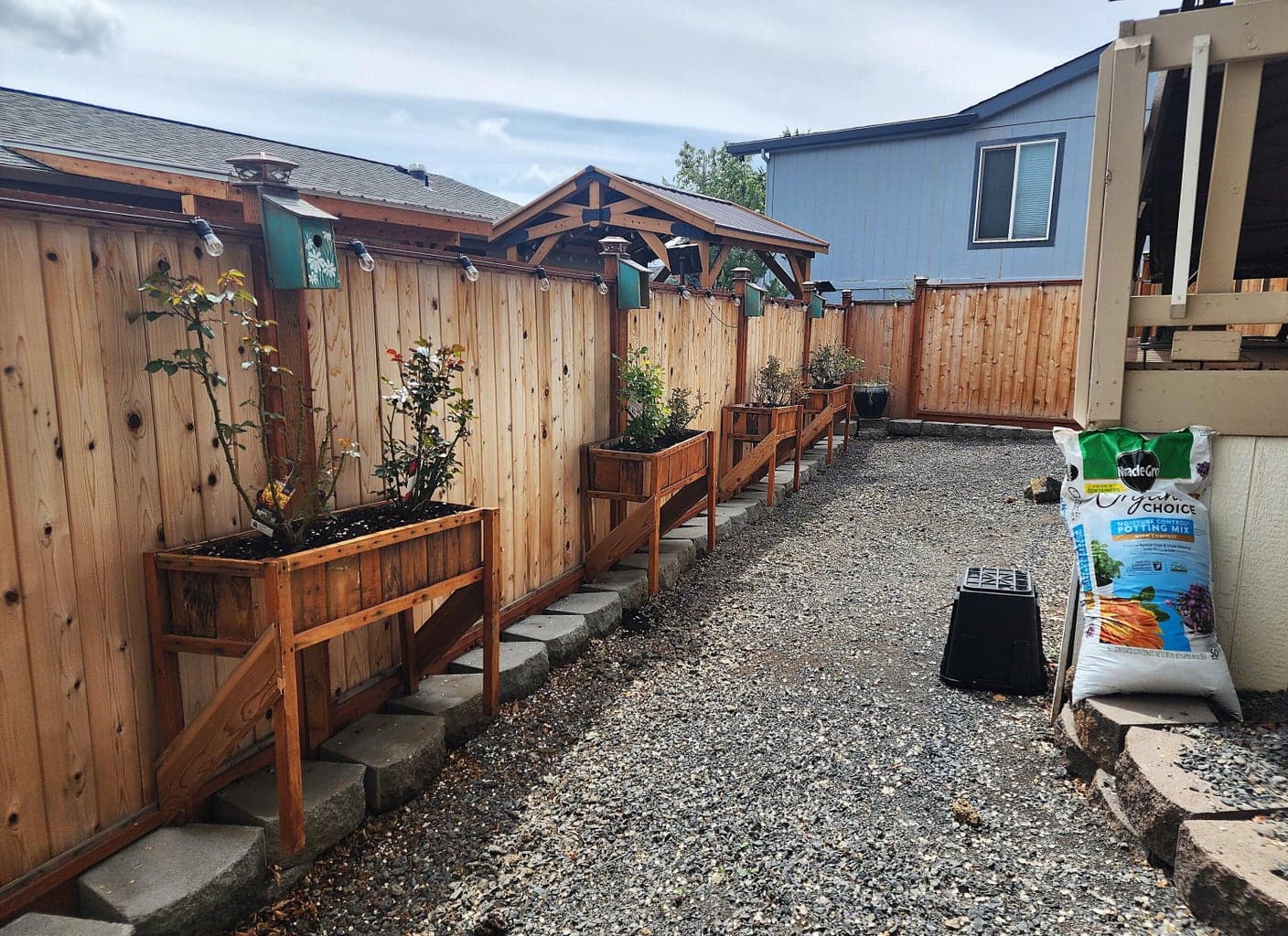 Lots of possibilities to make the back yard your special place