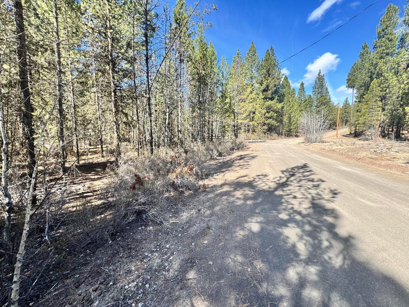 Photo of 0 Green Forest 2 of 13