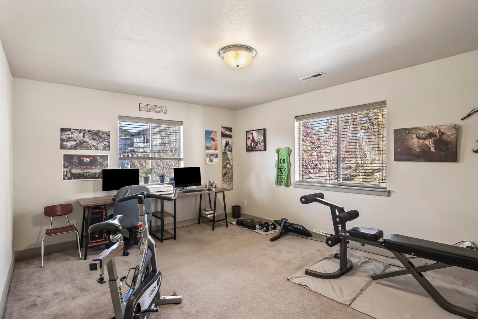 Bonus Room/ Office