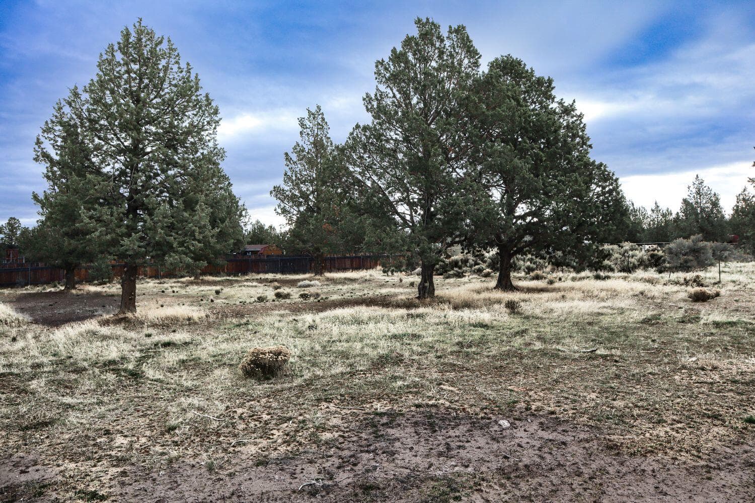 Photo of 16524 Yaqui 3 of 26