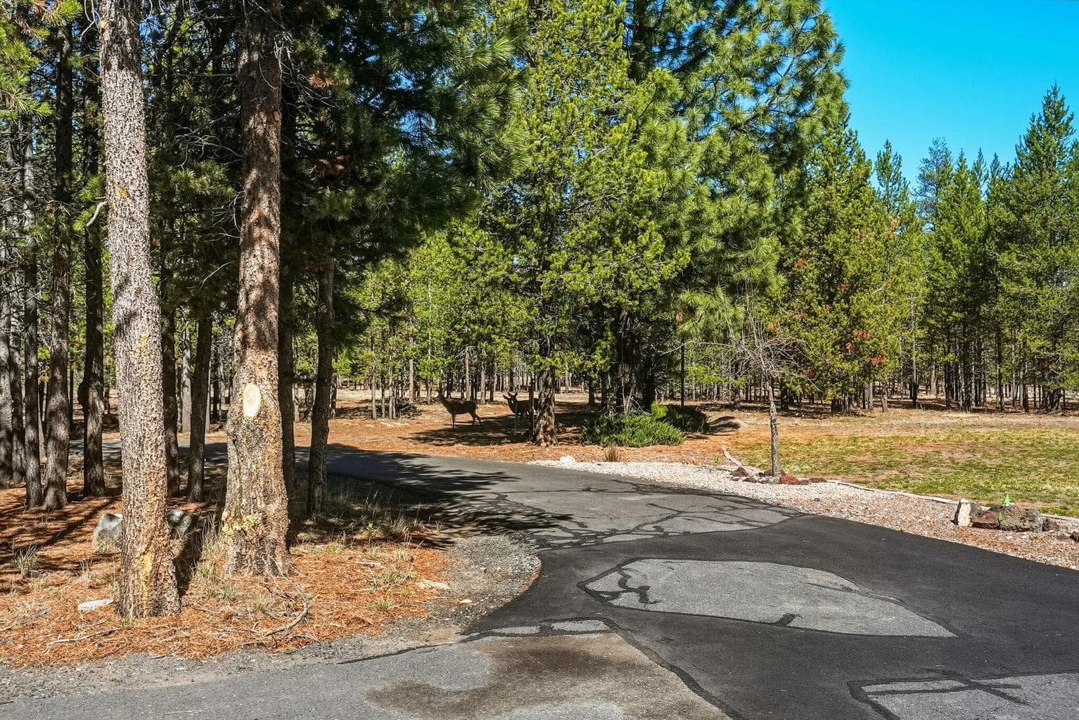 Circular asphalt driveway
