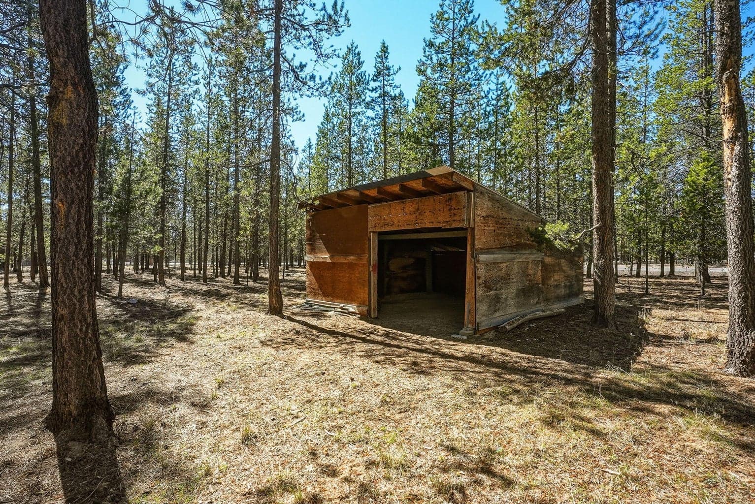 Loafing shed