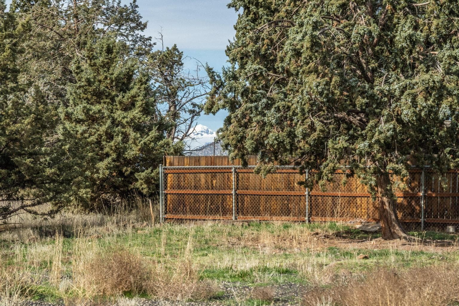 Photo of 2736 SW Glacier Avenue 15 of 17