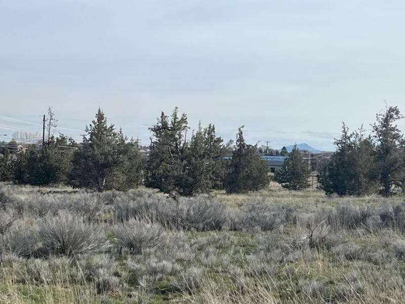 Photo of Belmont 12 of 12