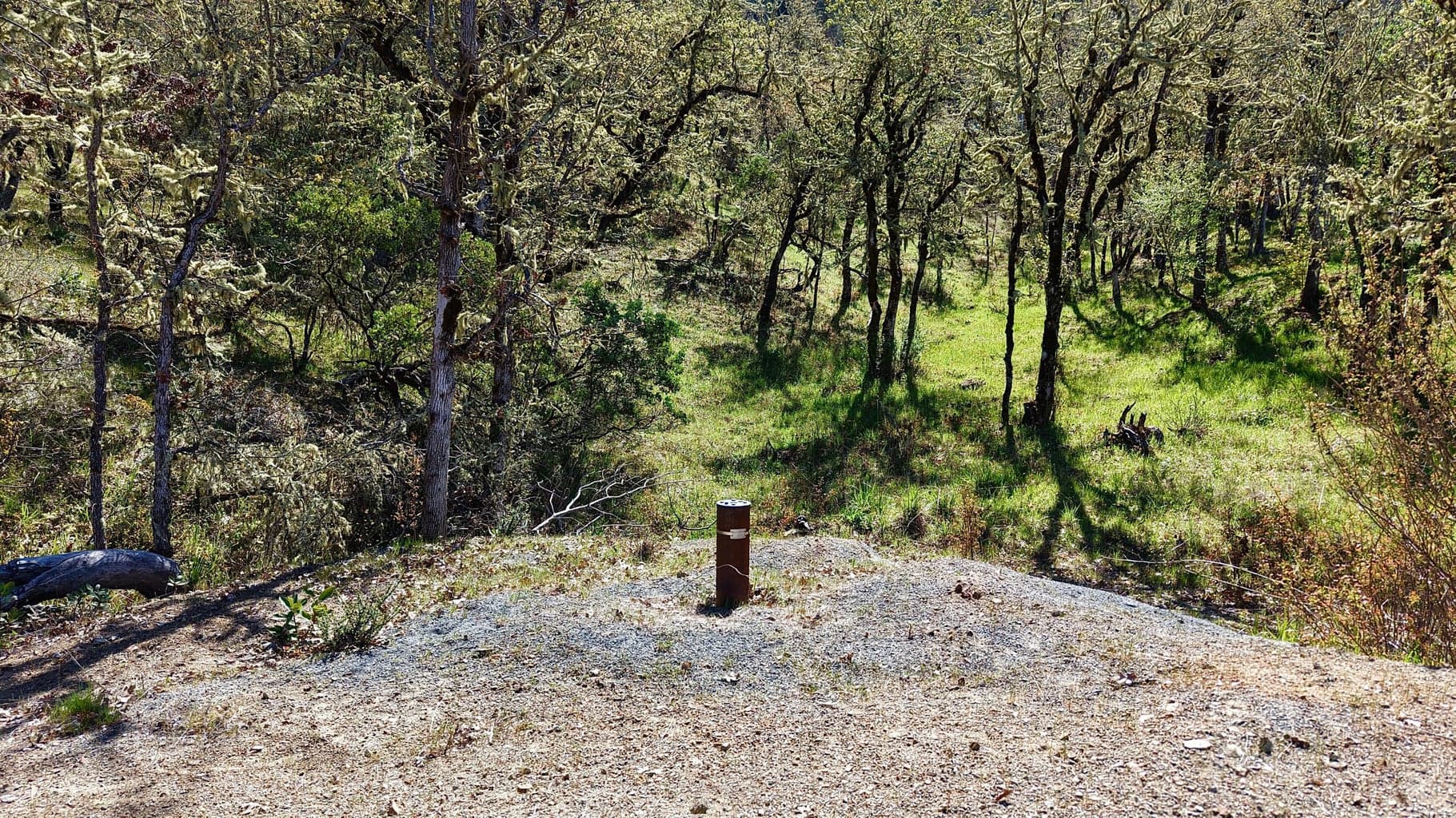 Photo of 345 Whitaker 2 of 11