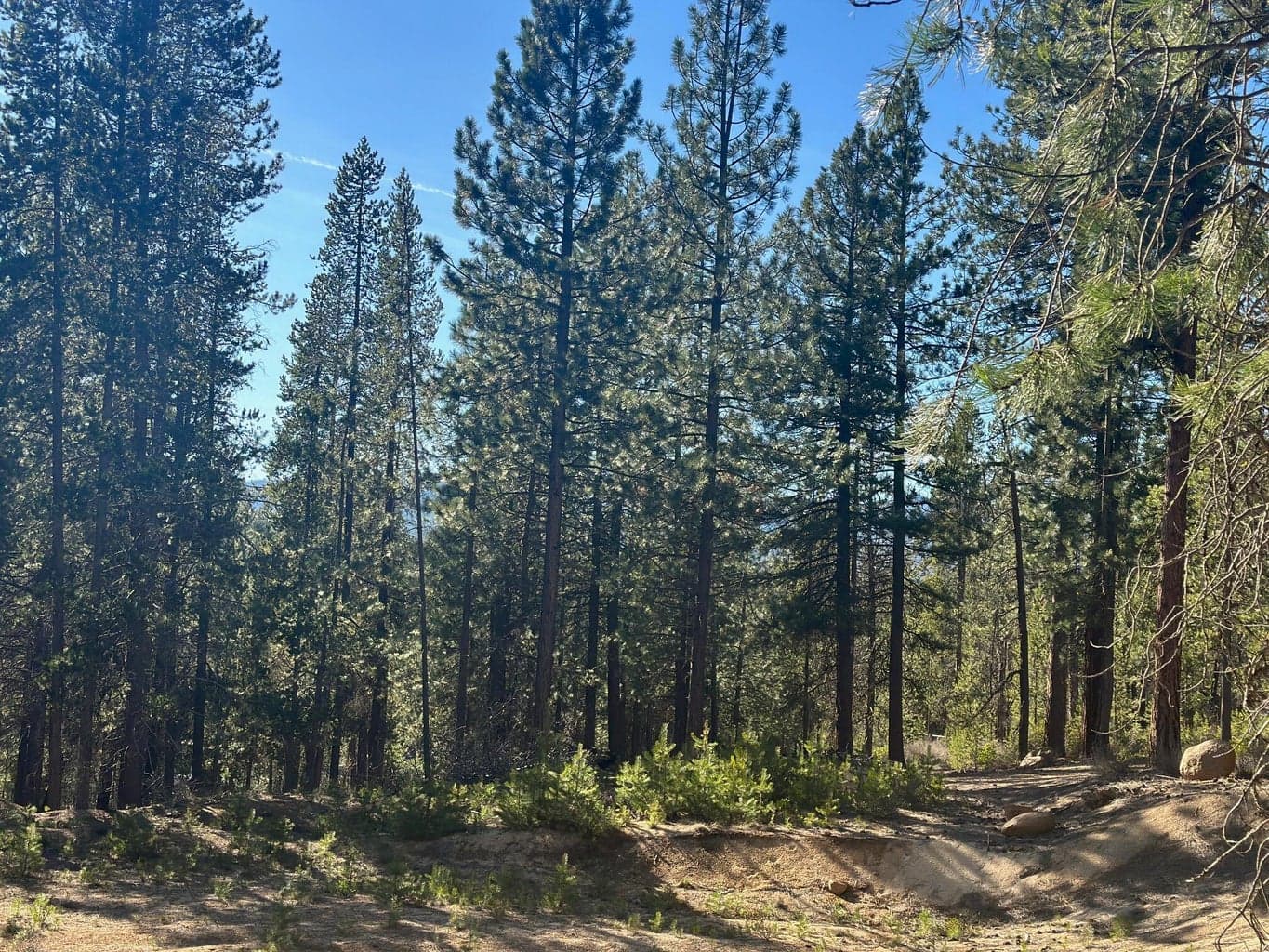 Photo of Hwy 58 2 of 5