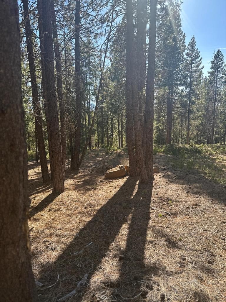 Photo of Hwy 58 3 of 5