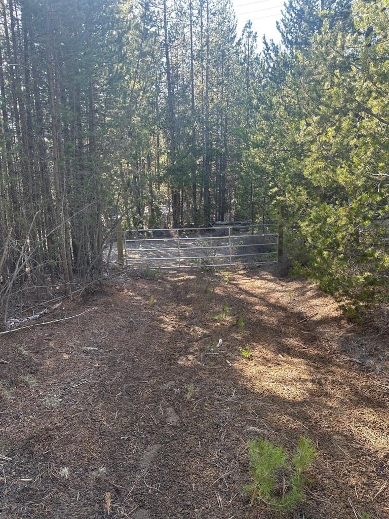 Photo of Hwy 58 5 of 5