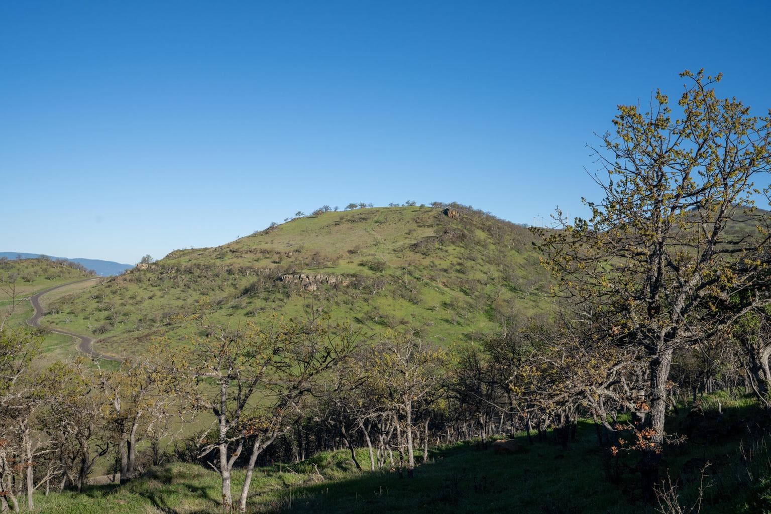Photo of 535 Canyon Hills 2 of 13
