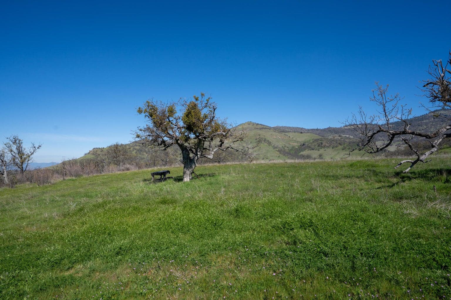 560 Canyon Hills
