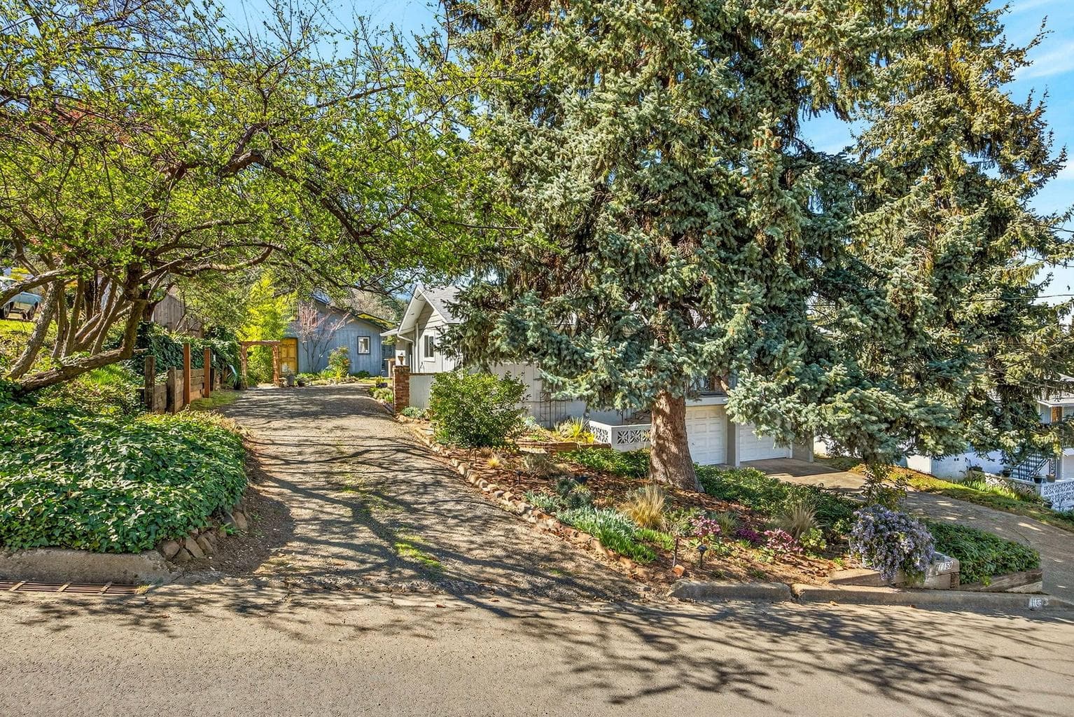 Photo of 1159 Park 4 of 44