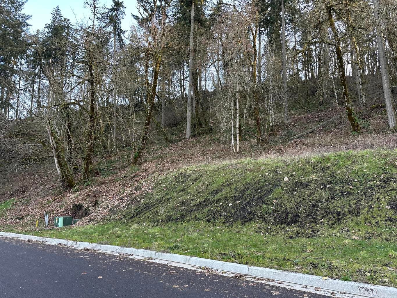 Photo of Weldon 1 of 1
