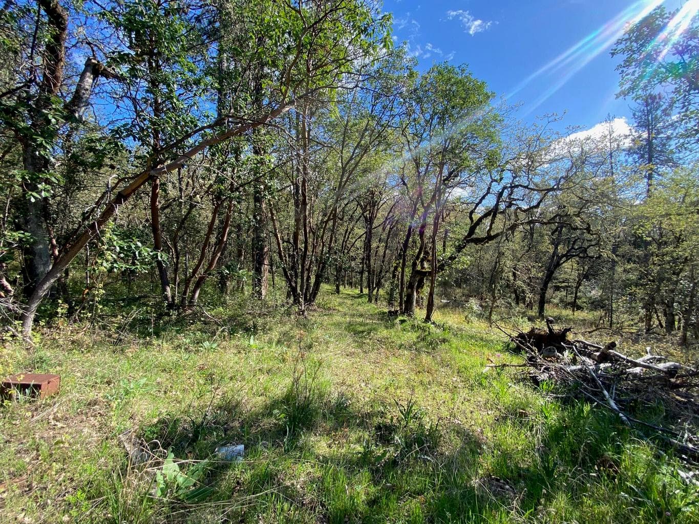 Photo of 928 Schoolhouse Creek 2 of 15