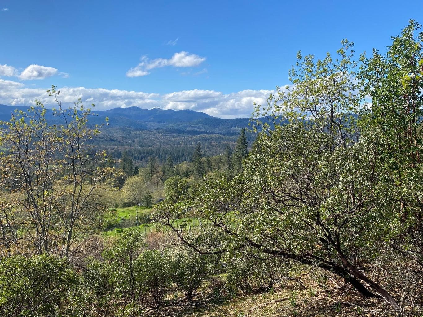 928 Schoolhouse Creek
