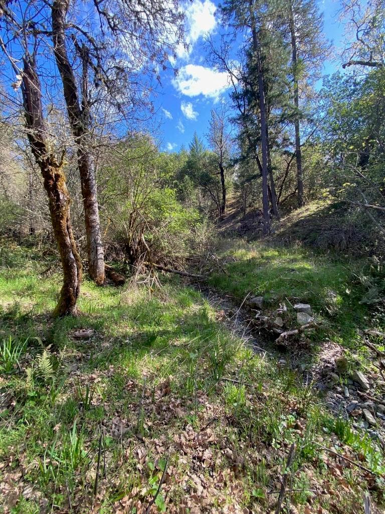 Photo of 928 Schoolhouse Creek 3 of 15