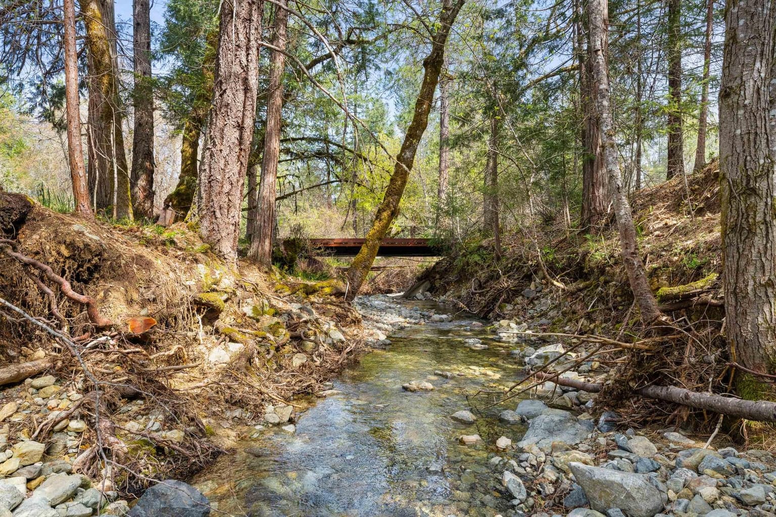 Gorgeous land and water on this property.