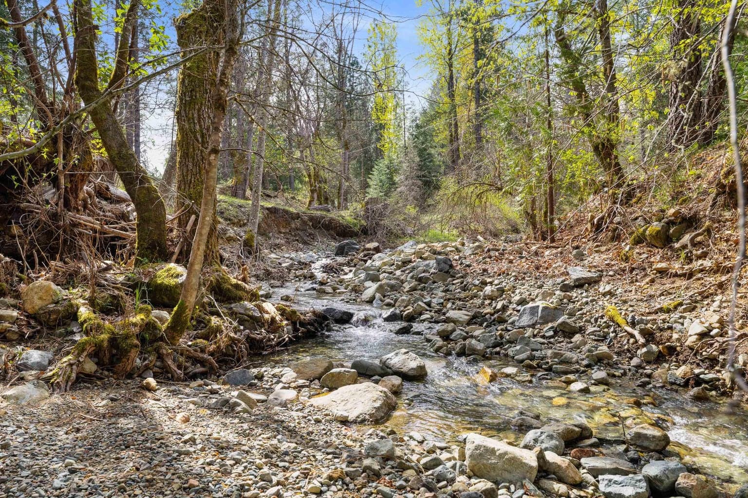 Photo of 8081 Evans Creek 3 of 52