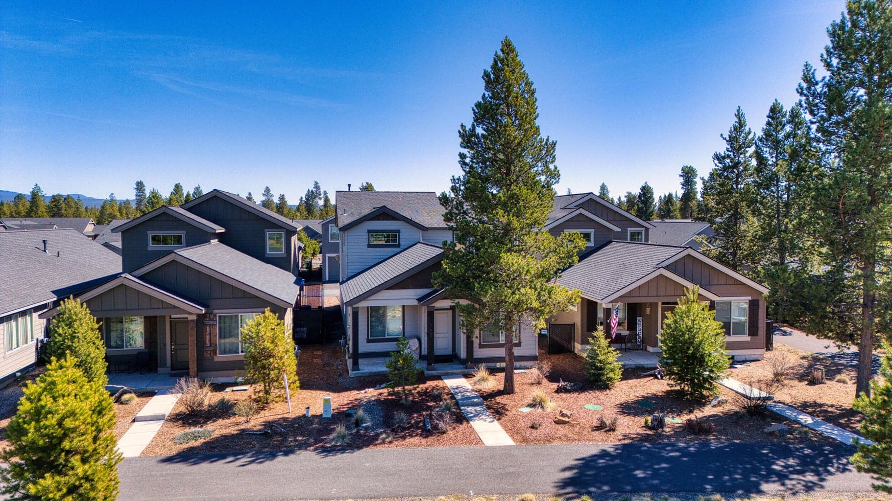 Photo of 51945 Lumberman 2 of 39