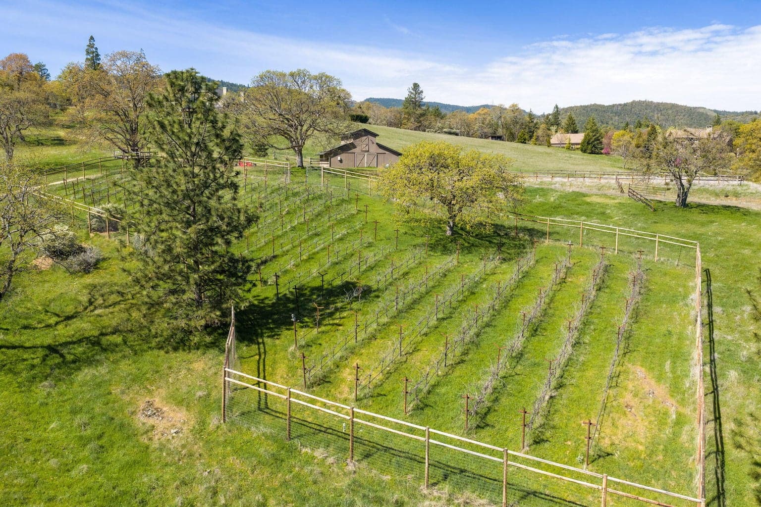 Photo of 84 Placer Hill 3 of 28