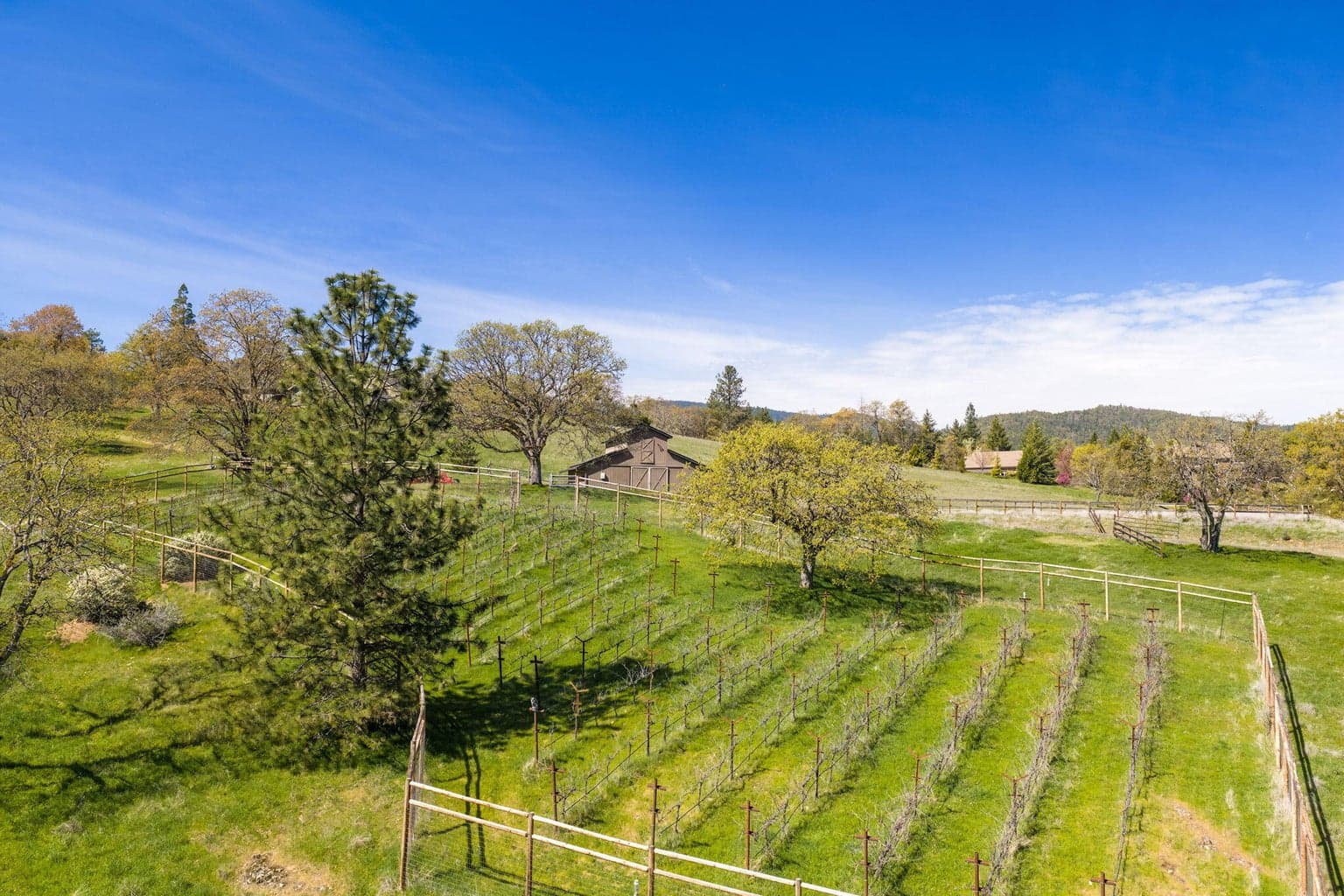 Photo of 84 Placer Hill 2 of 28