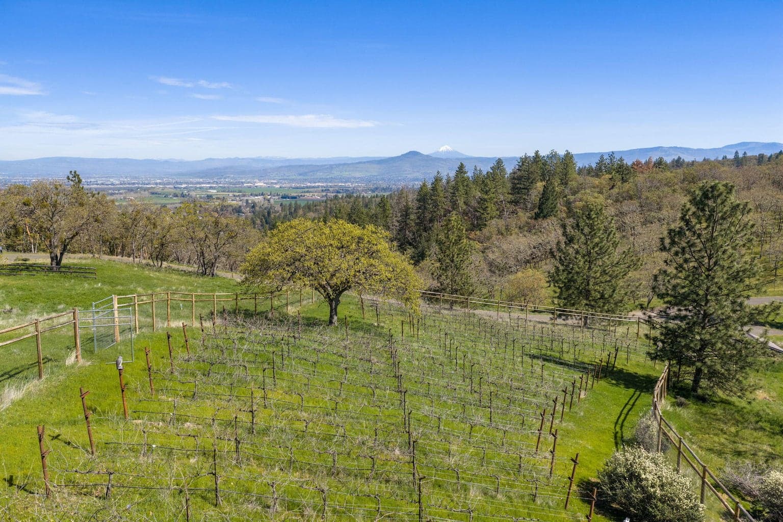 84 Placer Hill