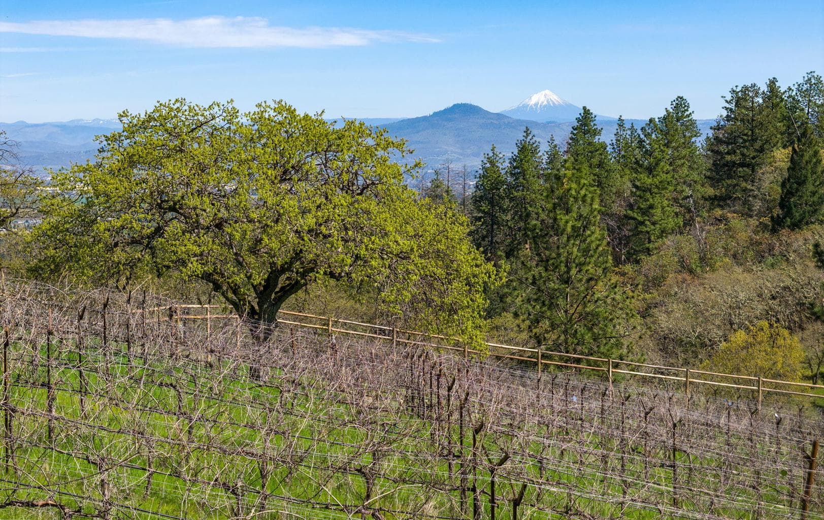 Photo of 84 Placer Hill 5 of 28