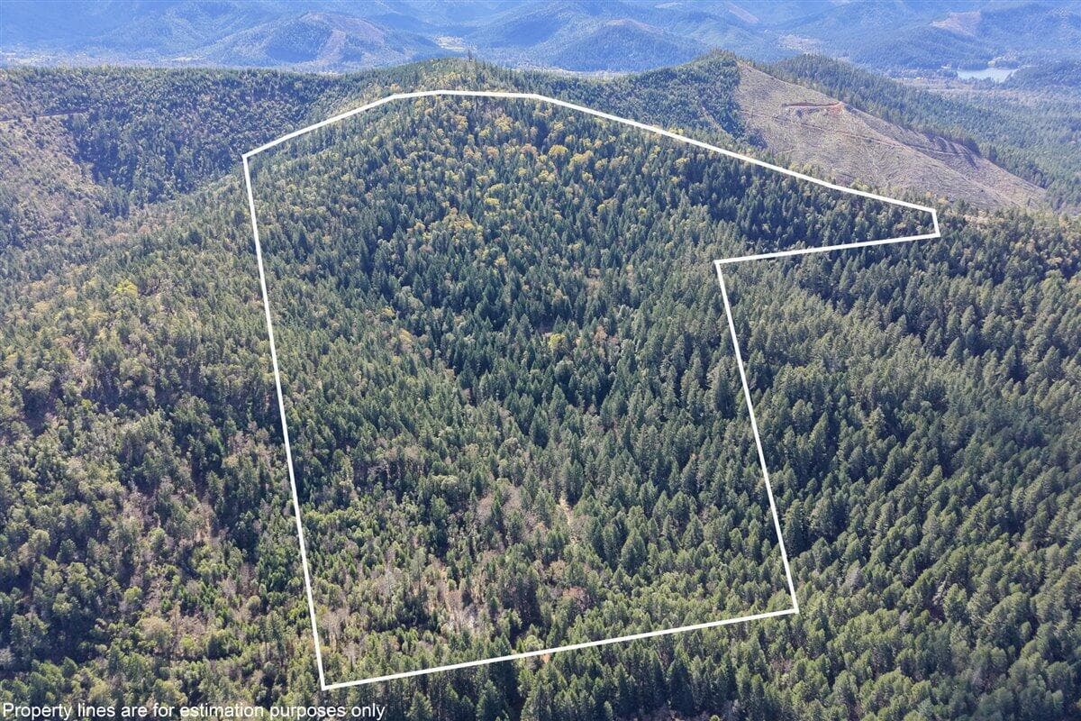 2787 Davis Creek