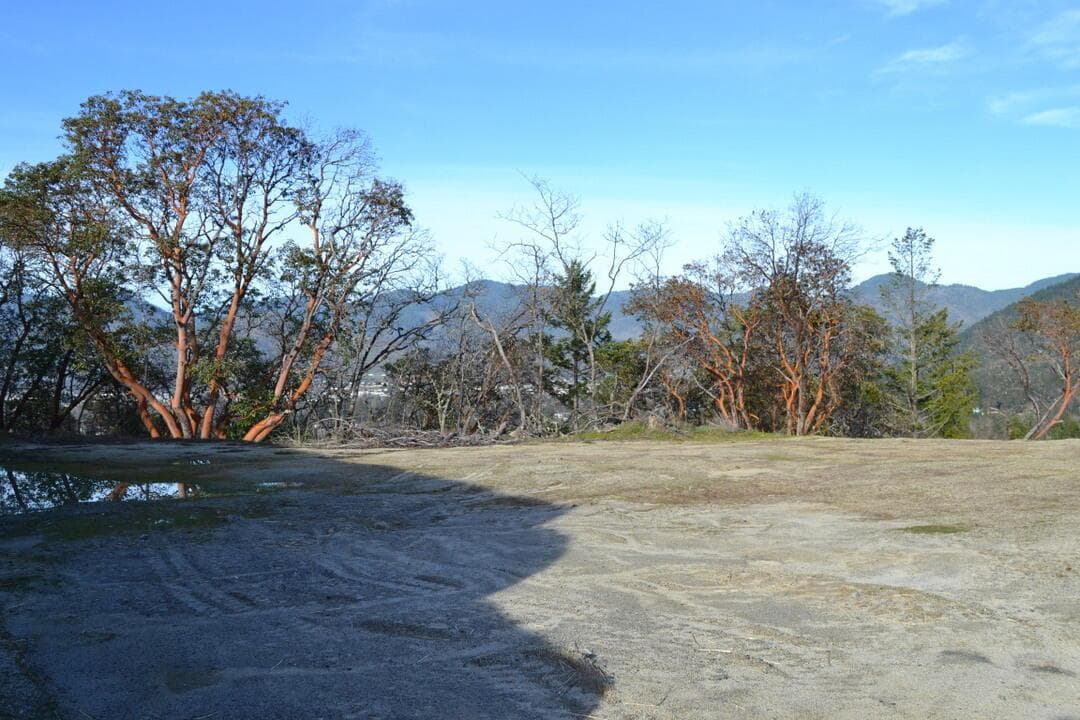 Photo of 2040 Wyndham 2 of 10