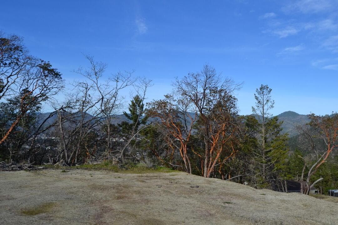 Photo of 2040 Wyndham 4 of 10