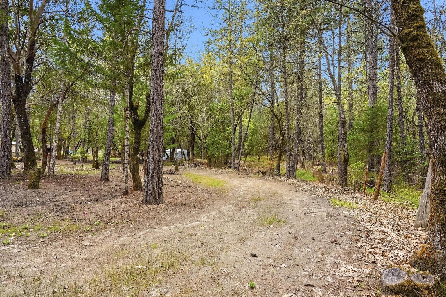 There is a cut in road that circles all the way around almost to the back fence for easy access to the entire property.