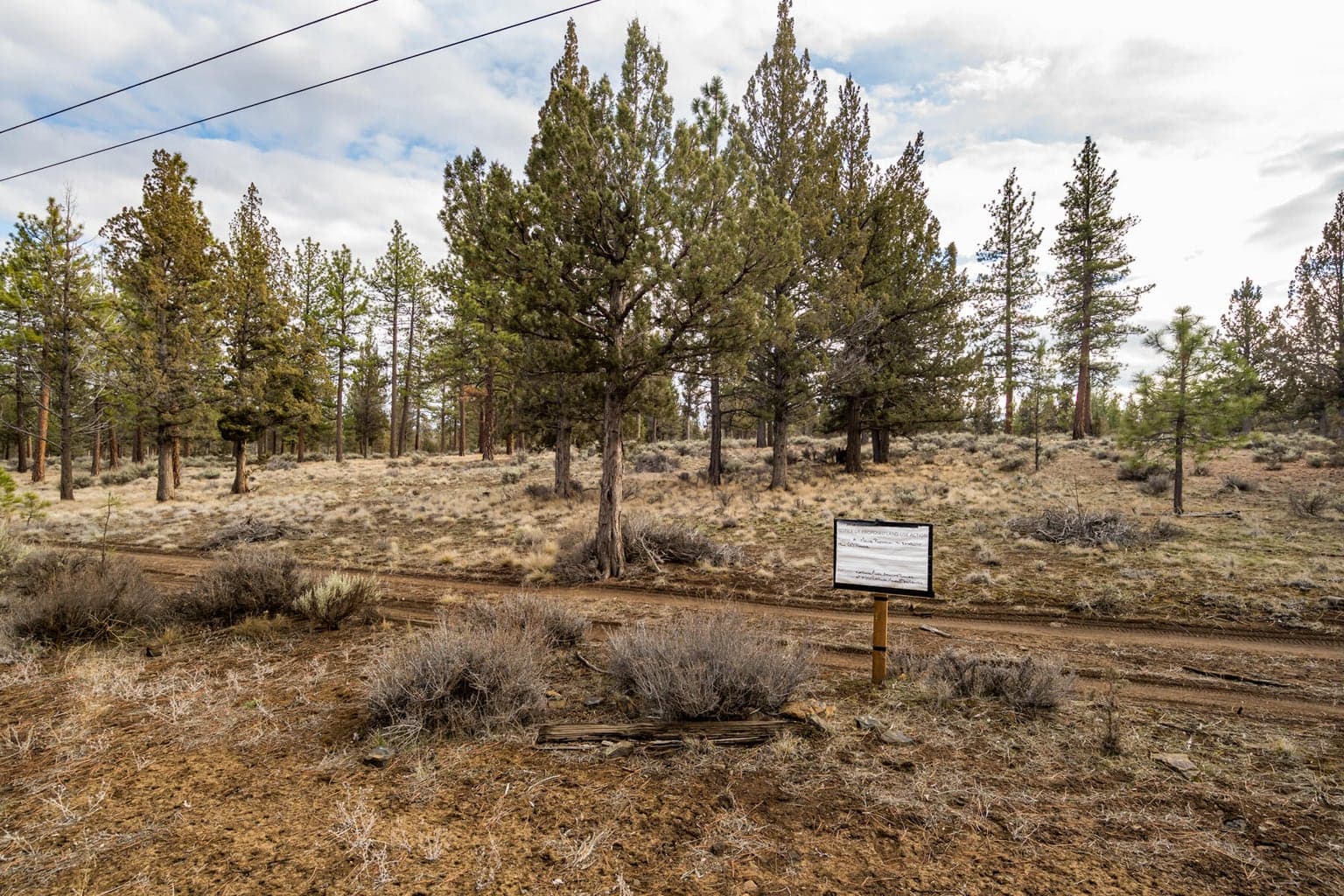 Photo of 16305 Riata 5 of 23