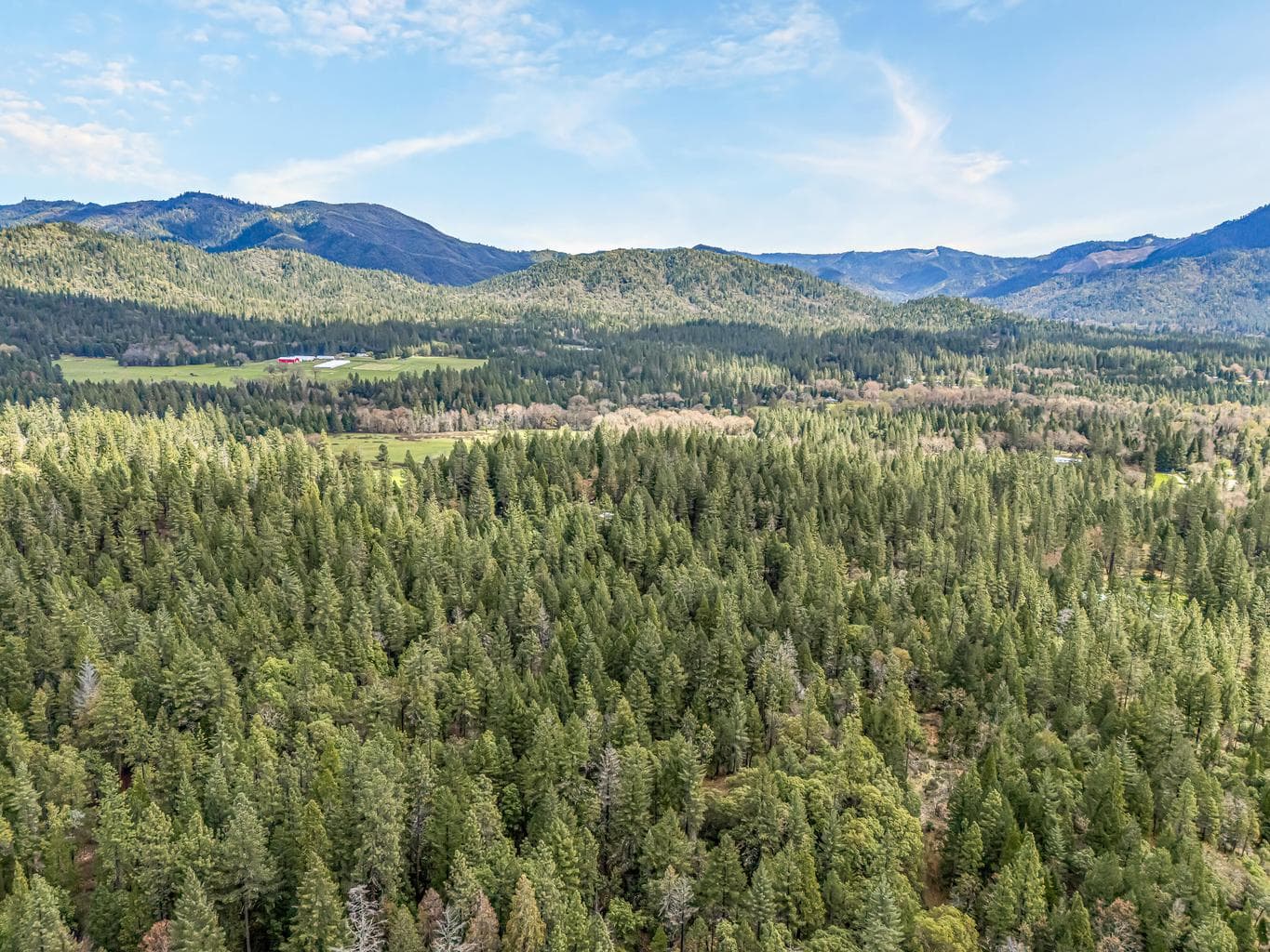 Photo of 9650 Evans Creek 4 of 10