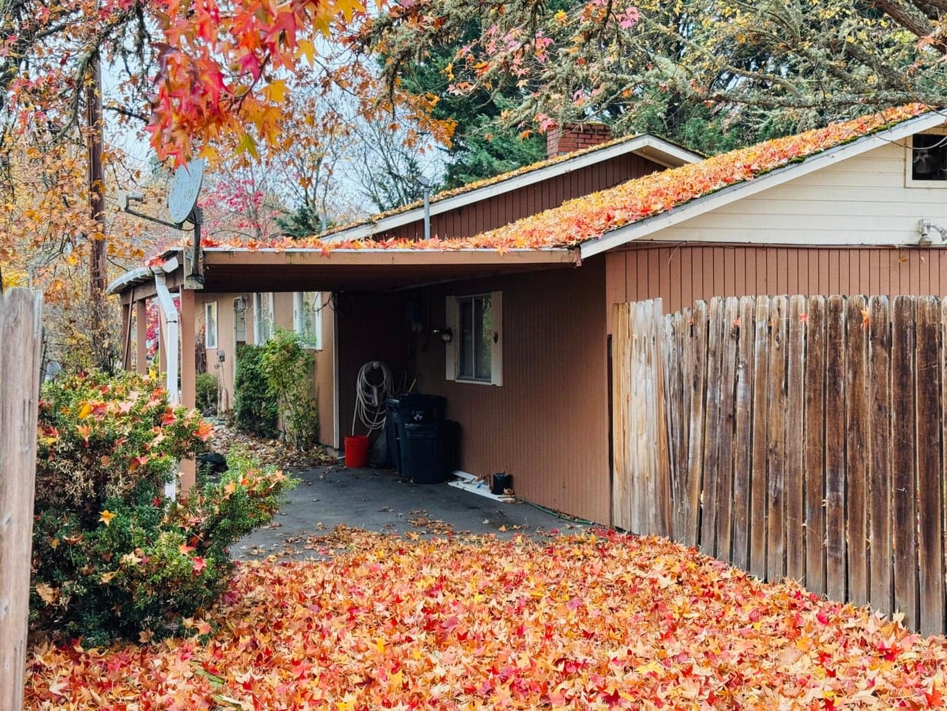 Photo of 225 Westholm 2 of 21