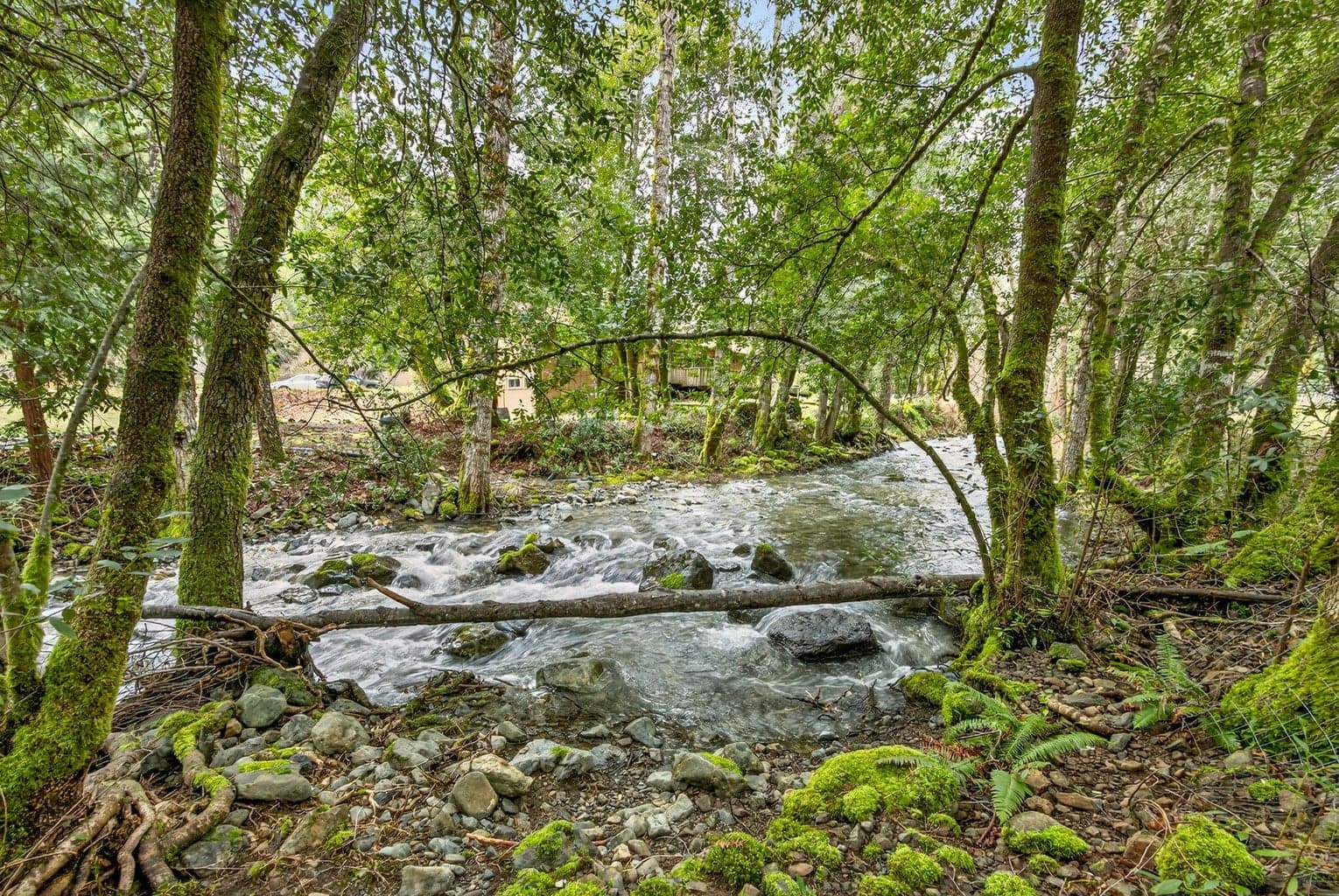 Photo of 2727 Murphy Creek 2 of 56