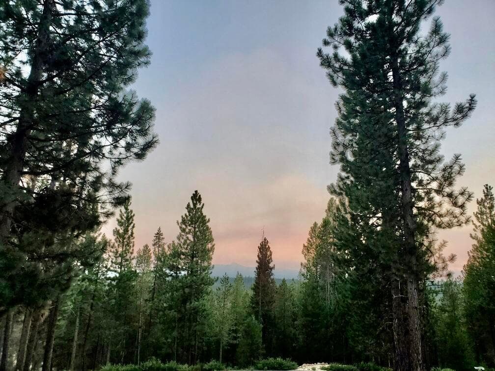 Photo of 141469 Red Cone 3 of 25