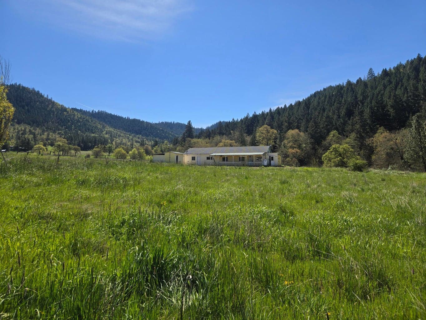 Photo of 1065 Panther Gulch 5 of 18