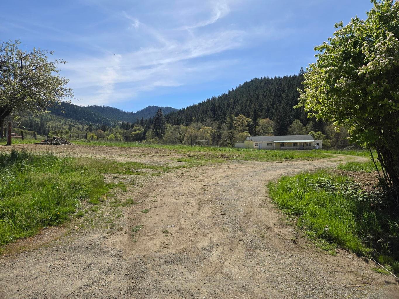 Photo of 1065 Panther Gulch 4 of 18