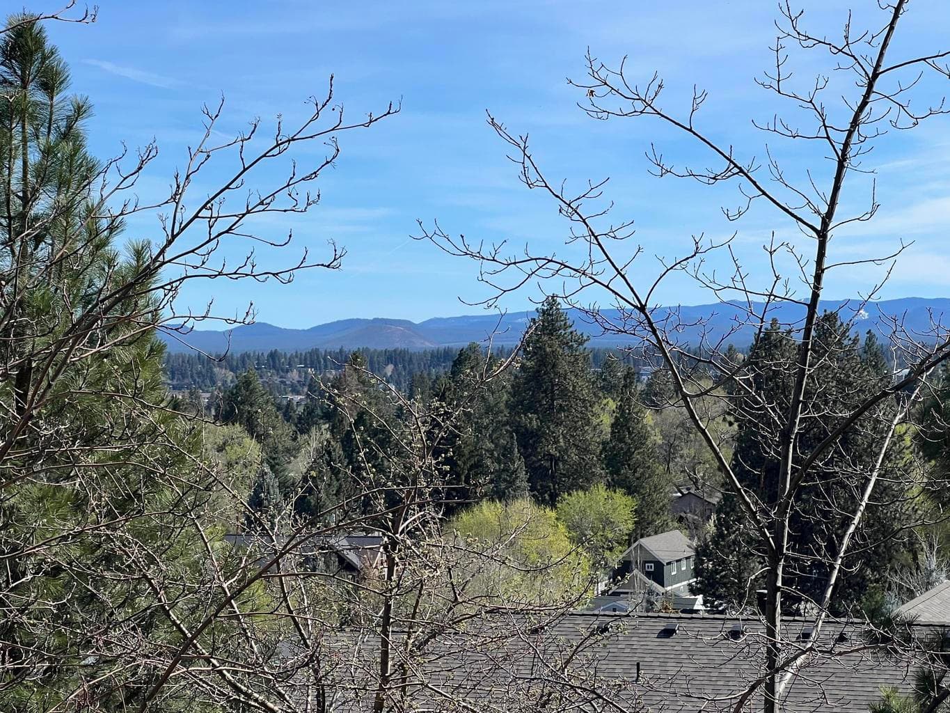 Photo of 1399 Portland 2 of 15