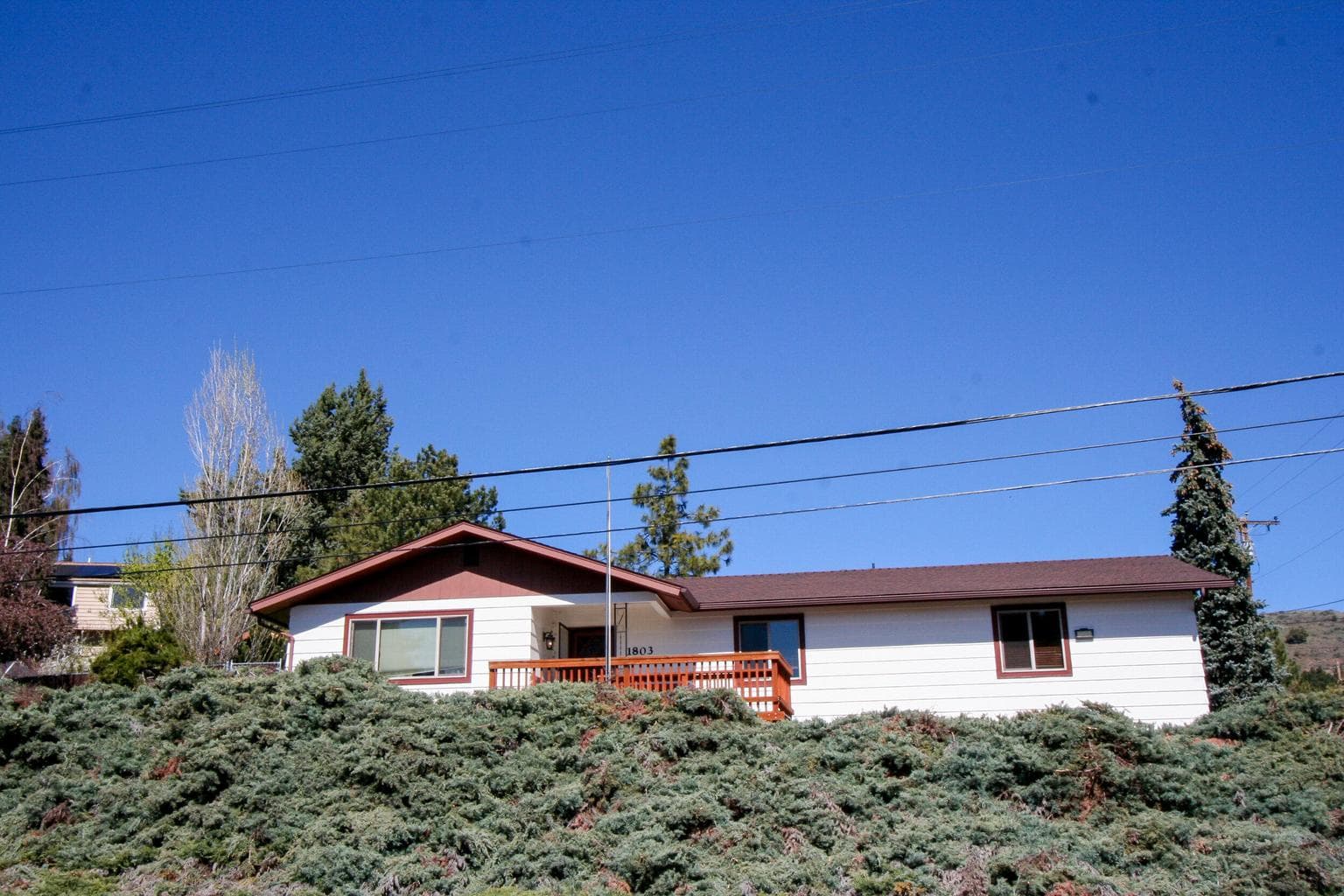 Photo of 1803 Eldorado 2 of 54