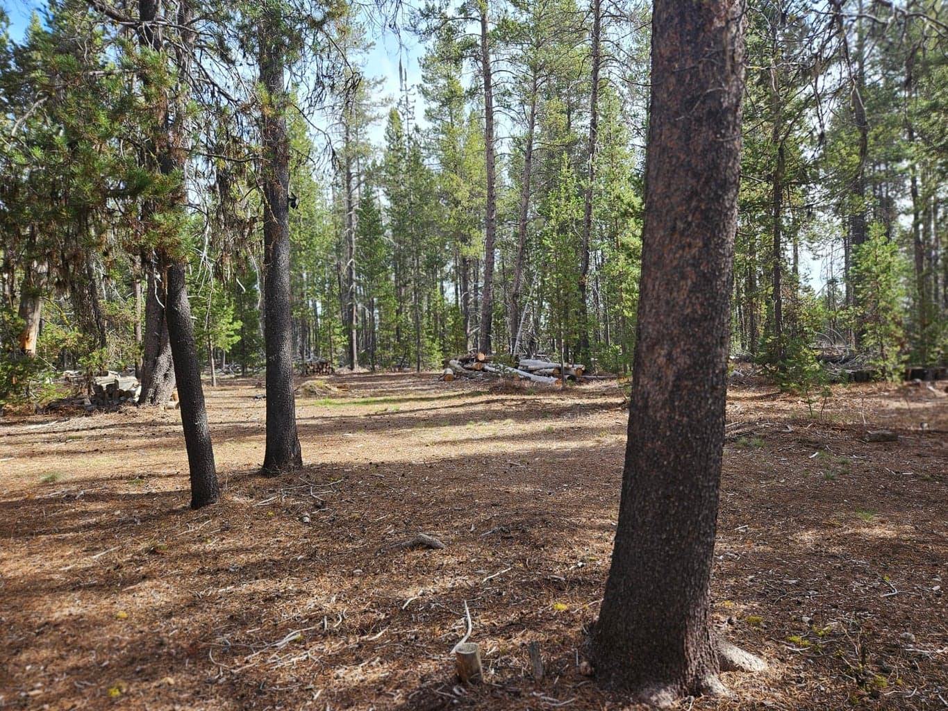 Photo of 0 Scott View Drive 4 of 15