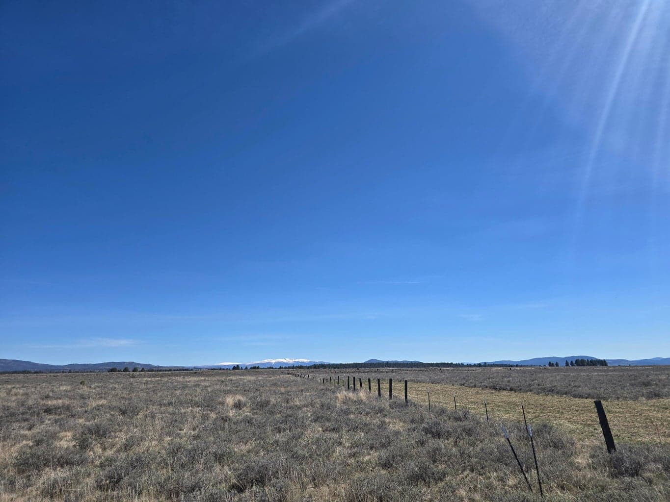 Photo of Tableland 2 of 10