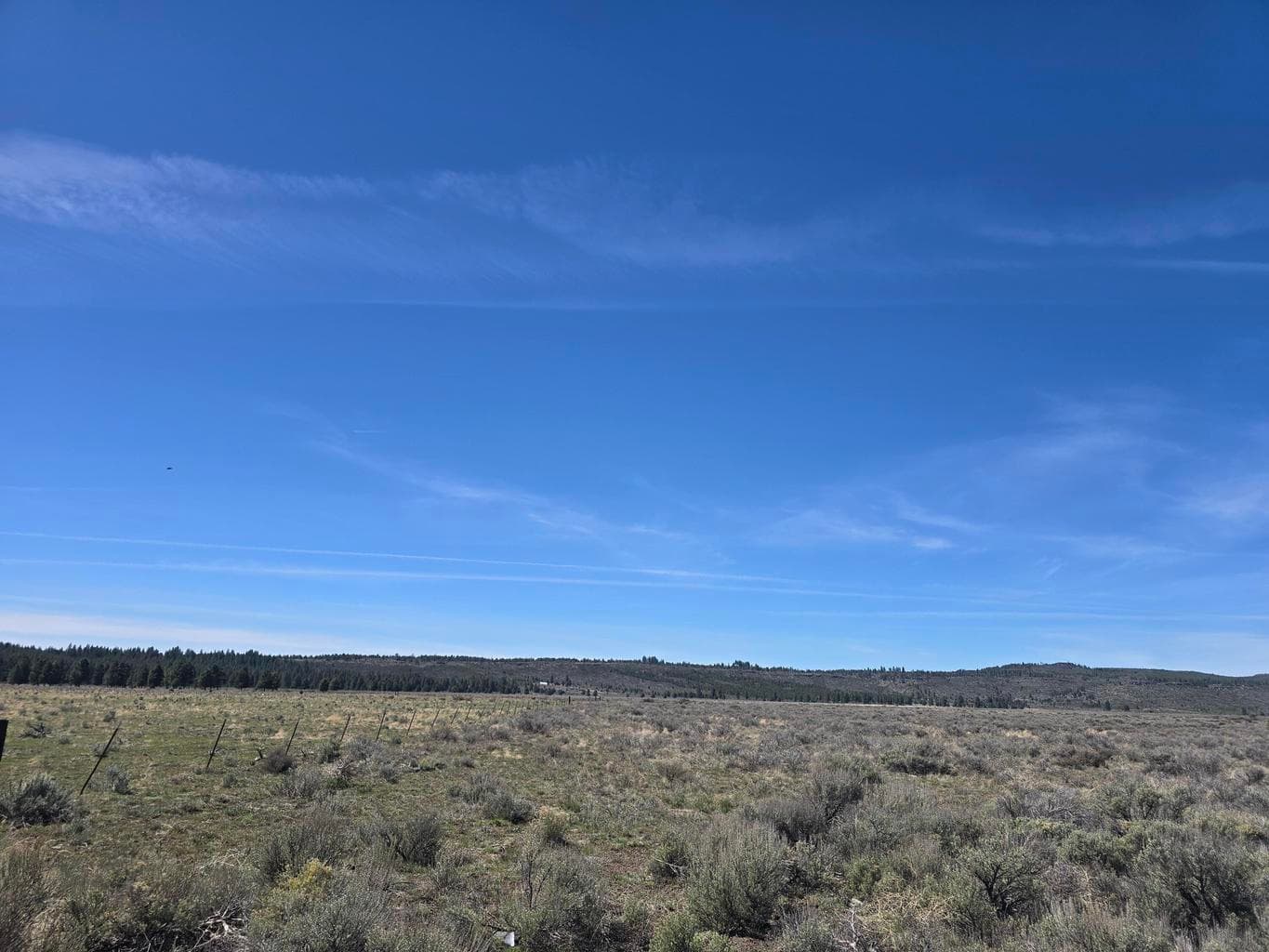 Photo of Tableland 4 of 10