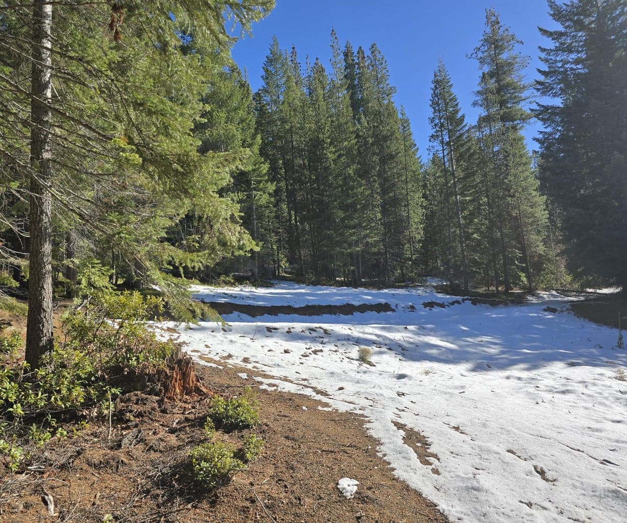 Photo of 6 Royce Pine 2 of 6