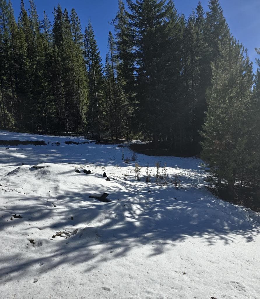 Photo of 6 Royce Pine 3 of 6