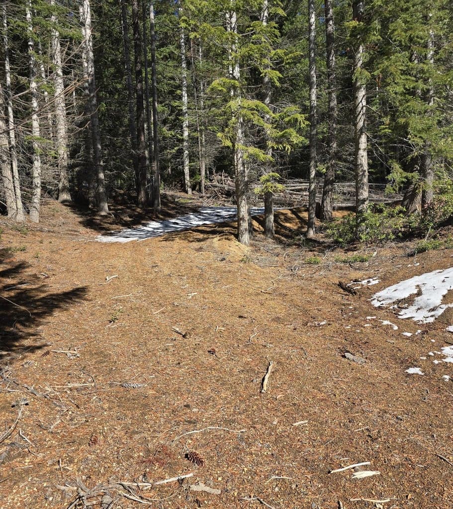 Photo of 6 Royce Pine Road 2 of 11