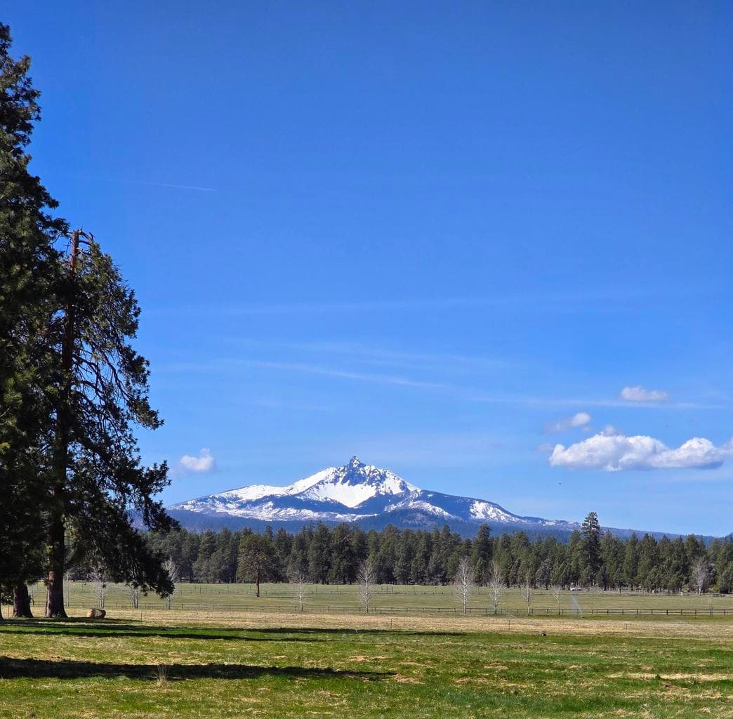 353 Pine Meadow, Sisters, OR, 97759 property photo